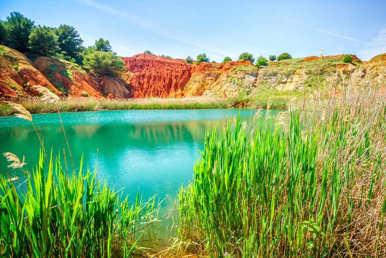 Vegetação nas margens do lago da mina
