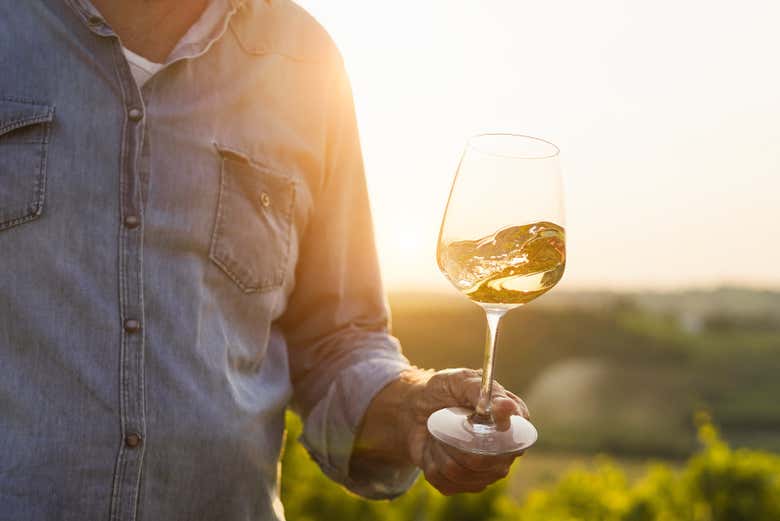 Conosceremo il vino locale
