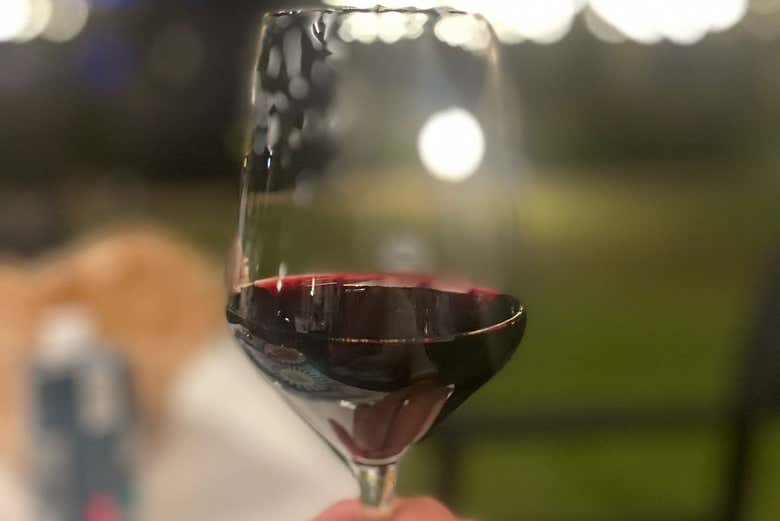 Degustazione di vino