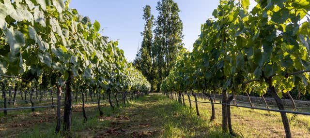 Visite d'un domaine à Paestum