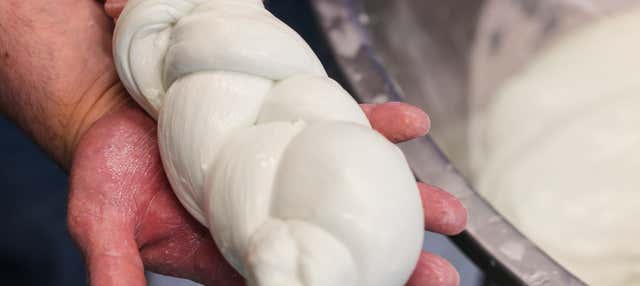 Paestum Mozzarella Factory Visit