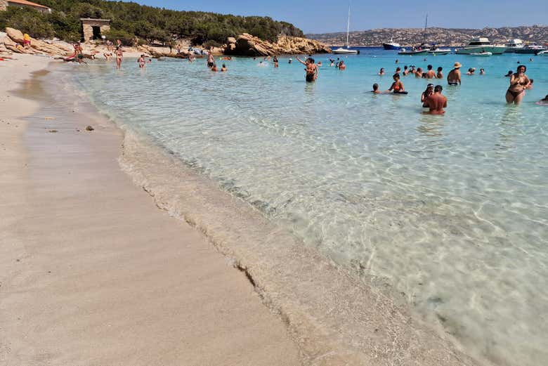 Take a dip in the sea