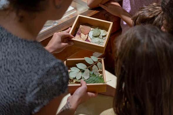 Billet pour le Radici, Petit musée de la nature