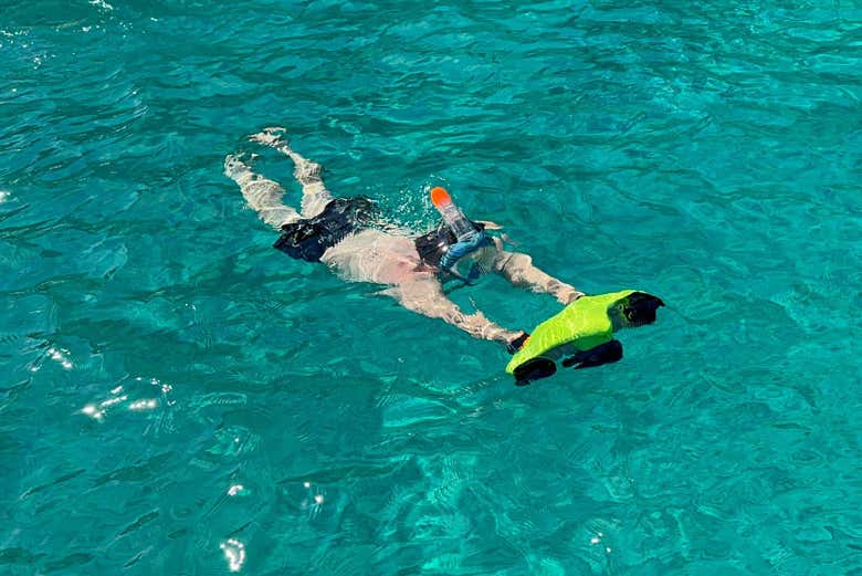 Découvrez la faune marine de Palerme