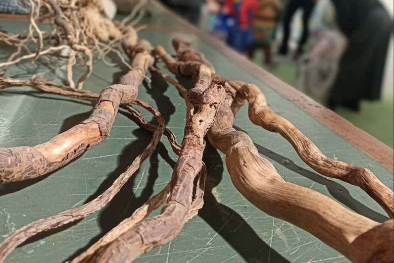 Ramas de árboles expuestas en el museo