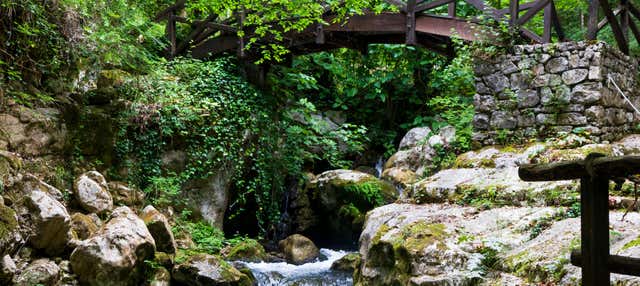 Excursion à l'Oasis de Morigerati