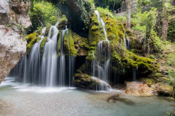 Escursione alle cascate Capelli di Venere