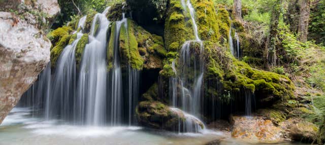 Hair of Venus Waterfalls Excursion