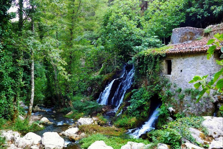 Cascate dell'Oasi di Morigerati