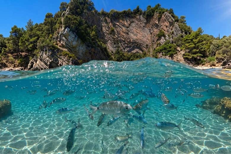 Fondale marino di Capo Palinuro