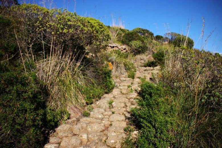 Chemin pavé de Pantelaria