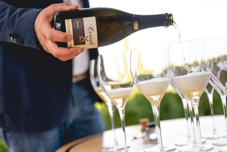 Dégustation d'un des vins mousseux de la cave
