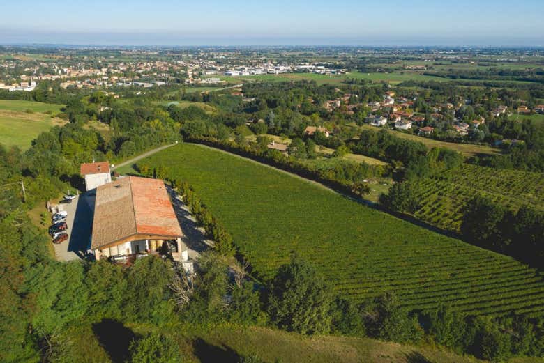 Vue panoramique de la bodega