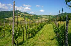 Visita alla cantina Oinoe La Città del Vino