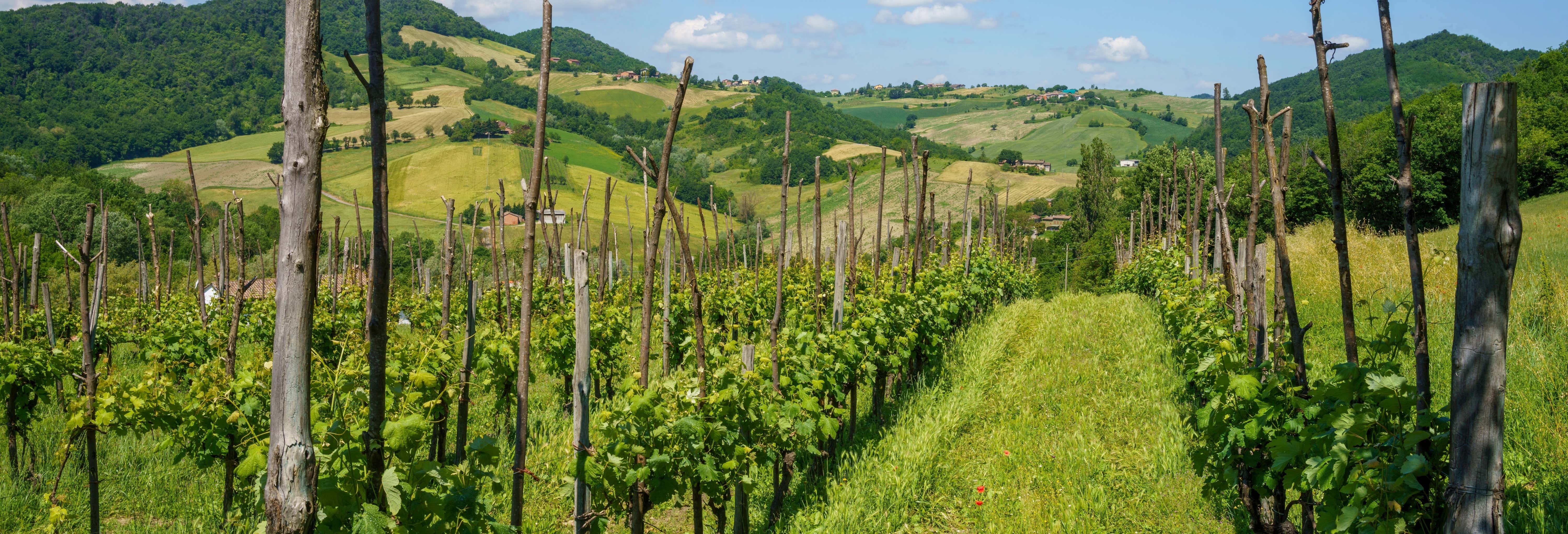 Gastronomia e enoturismo em Parma