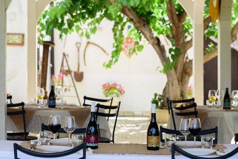 Wine tasting in Partinico