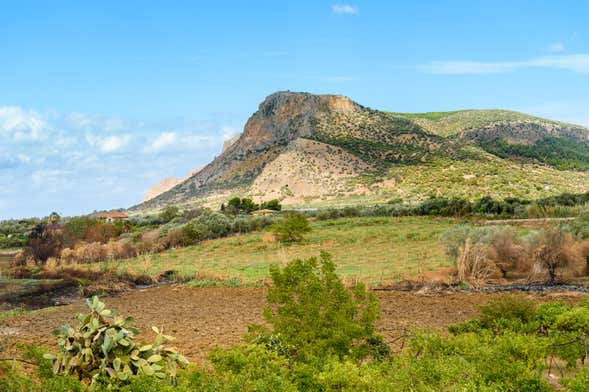 Sicilian Countryside Horse-Drawn Carriage Ride & Wine Tasting