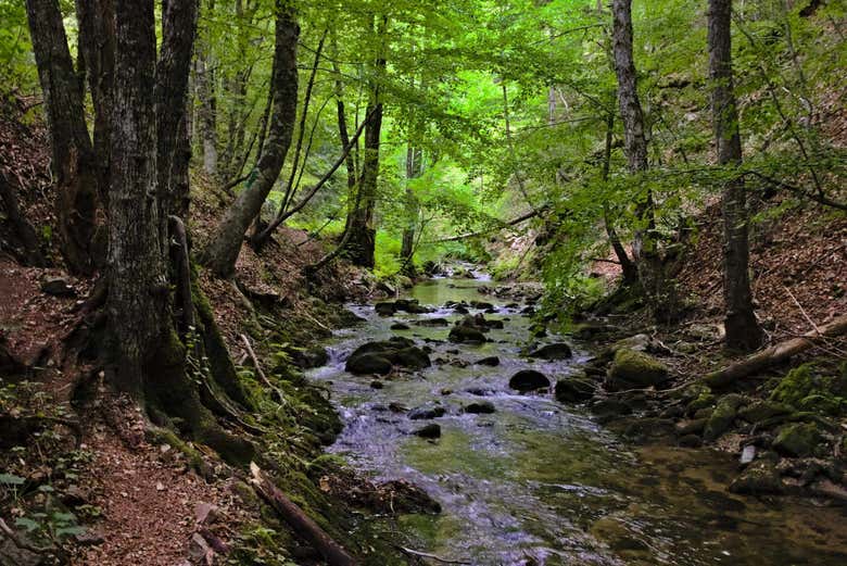 Parque Nacional de la Sila