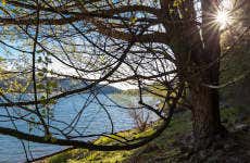 Senderismo por el Parque Nacional de la Sila