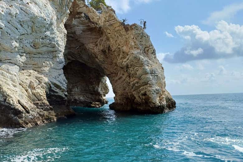 Découvrez des falaises impressionnantes