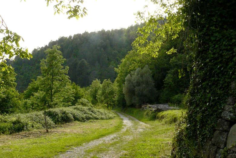 In cammino verso il torrente Resco
