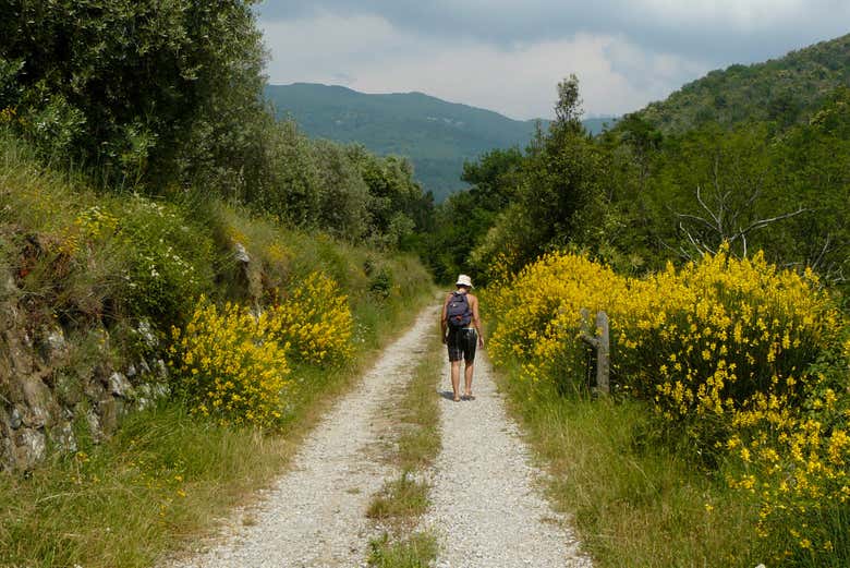 Trekking al torrente Resco Simontano
