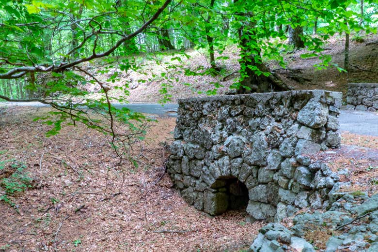 Disfrutando de la ruta de senderismo
