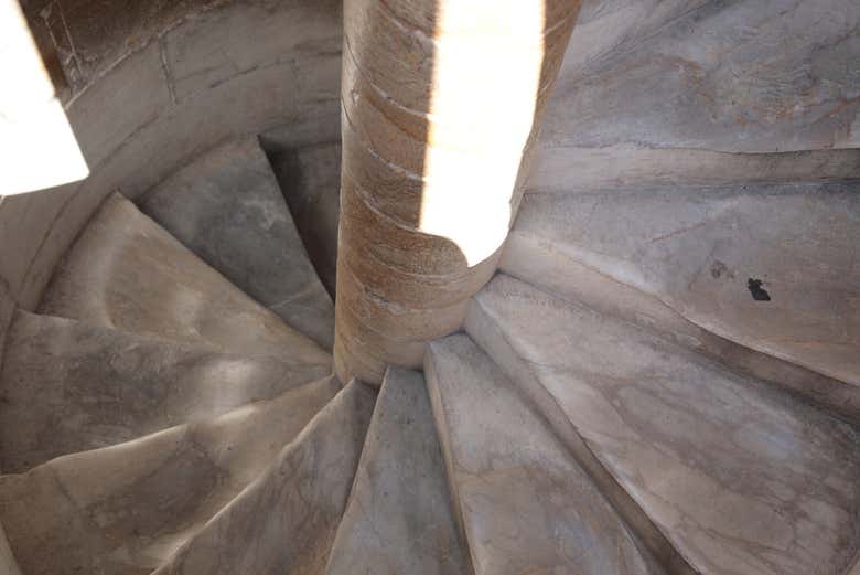 Climb the 293 steps of the Tower of Pisa's spiral staircase!