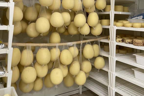 Atelier de fabrication de mozzarella à Pise