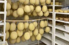Mozzarella Workshop in Pisa