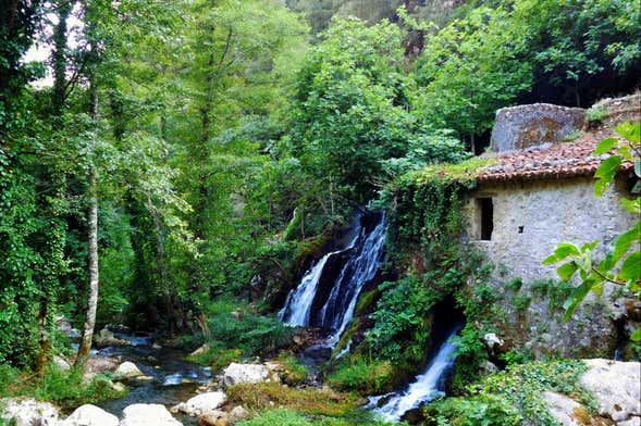 Excursion à l'Oasis de Morigerati