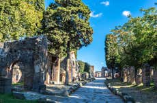 Excursão a Pompeia e ao Vesúvio