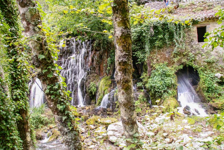 Moulin de l'Oasis Capello