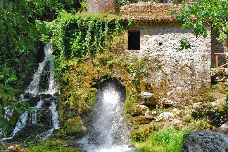 Merveille de l'Oasis de Morigerati