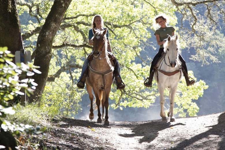 Au galop !