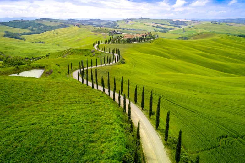 Admirez la Vallée du Chianti