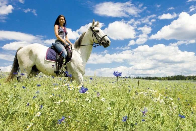Admirez les paysages du Chianti à cheval