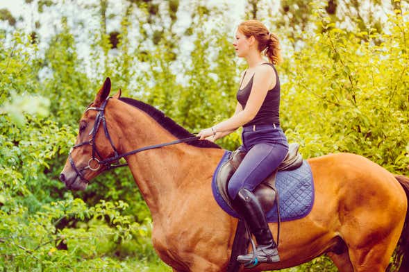 Chianti Horse Riding Tour