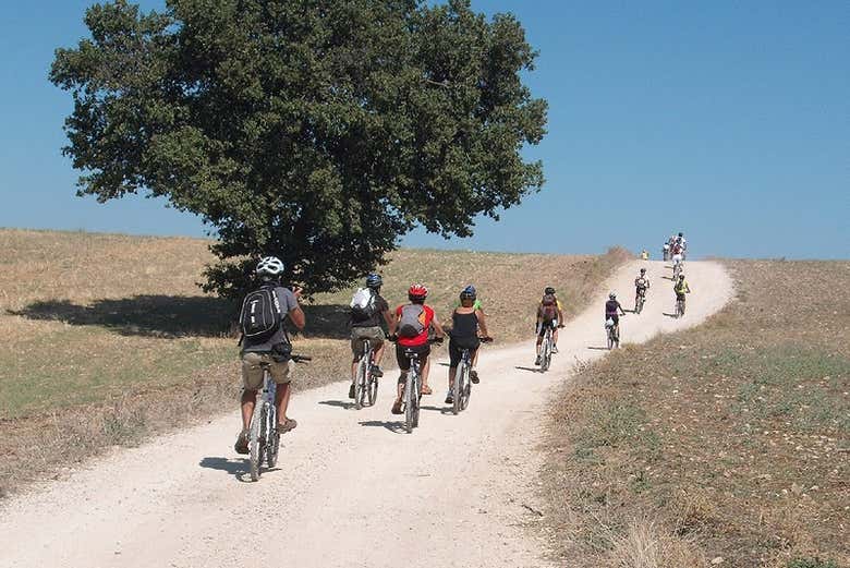 Exploring Alta Murgia