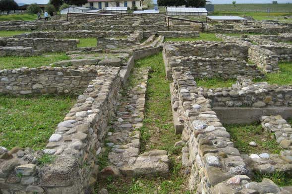 Policoro Archaeological Site Private Tour