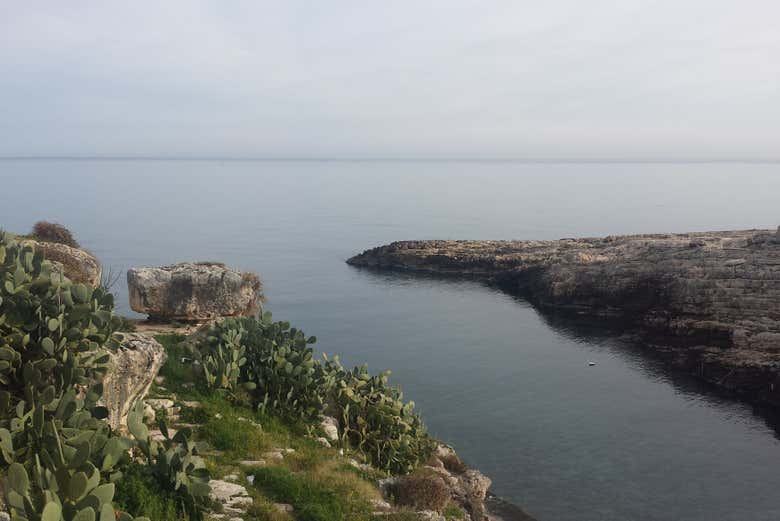 Calas de Polignano a Mare