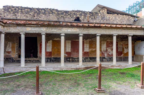Oplontis Ruins Excursion