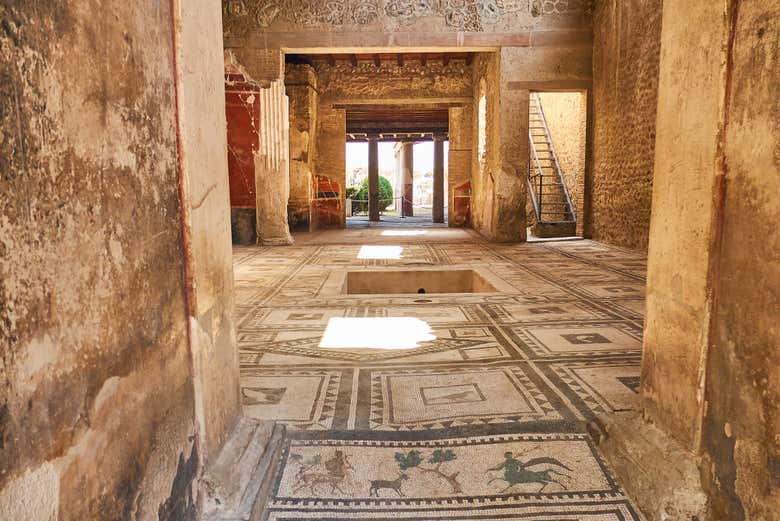Enjoying the private tour of Pompeii