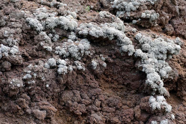 Anciennes coulées de lave sur le volcan