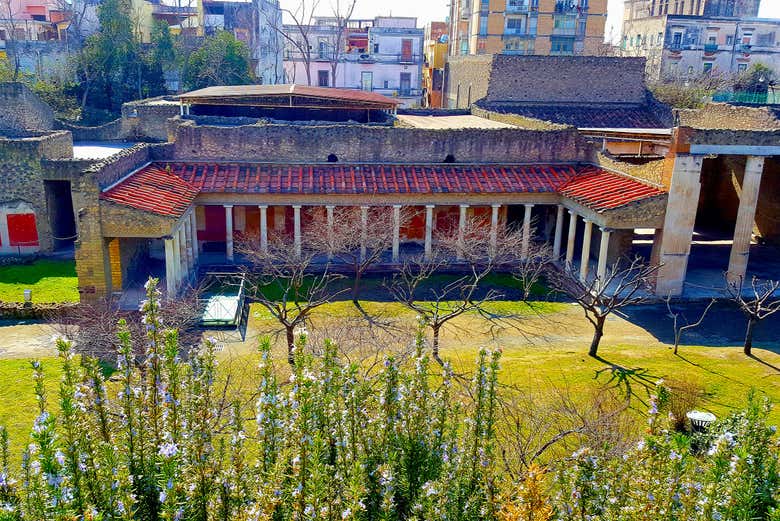 Oplontis
