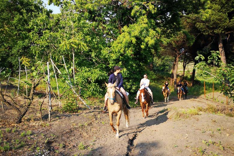 Balade à cheval dans le Vësuve