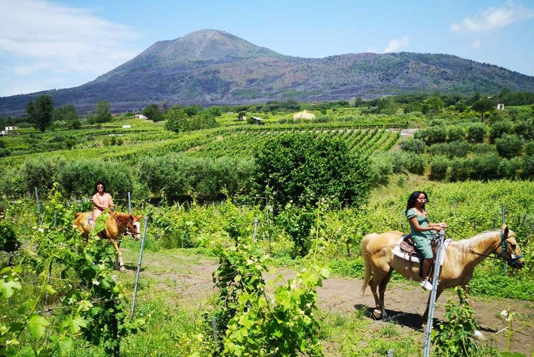 Disfrutando del paseo a caballo