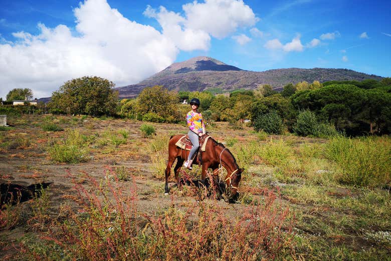 ¿Listos para montar a caballo?