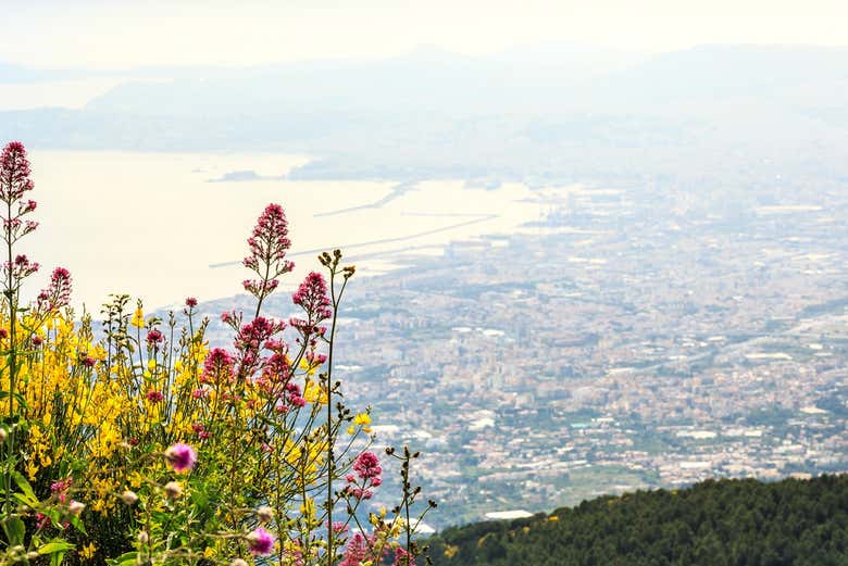 Vue sur le golfe de Naples depuis le Vésuve