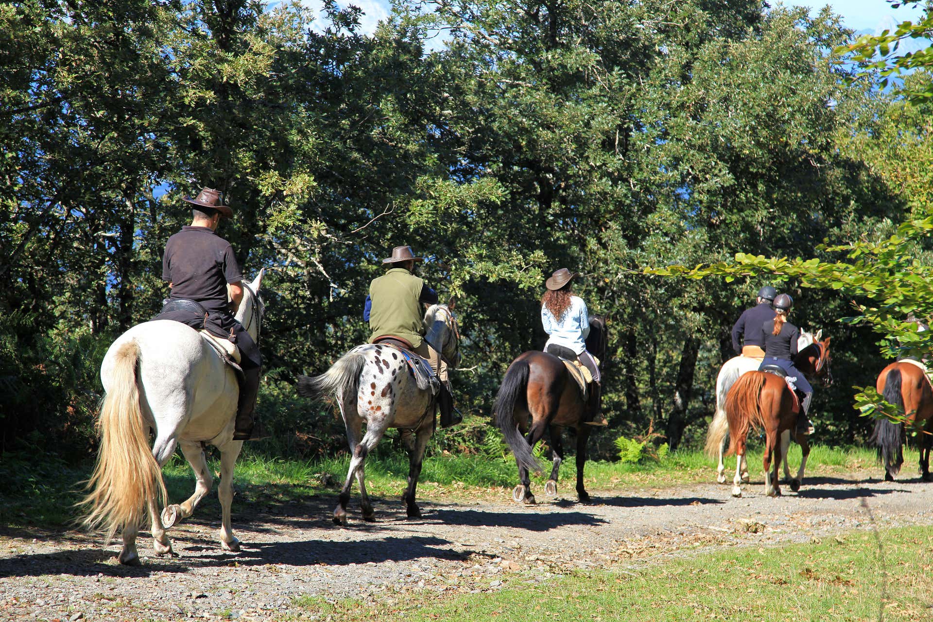 Balade à cheval dans le Vésuve + Dégustation de vin